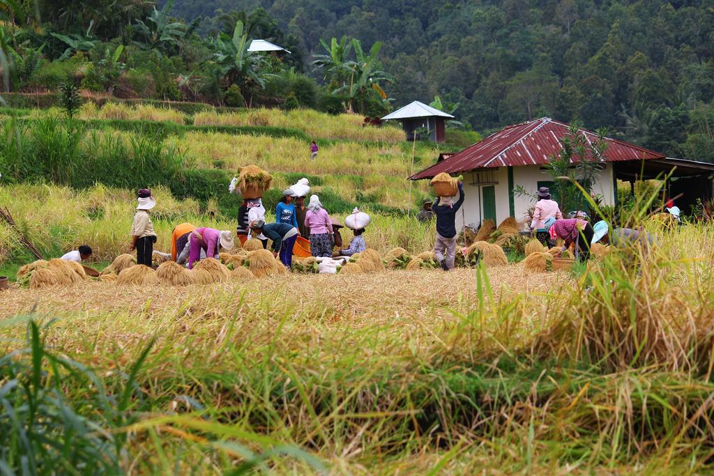 Melanting Cottages Munduk  Luaran gambar