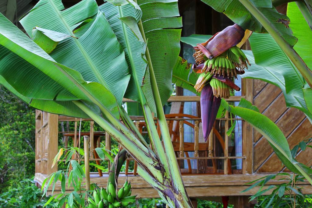 Melanting Cottages Munduk  Luaran gambar