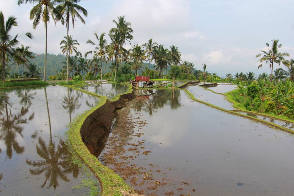 Melanting Cottages Munduk  Luaran gambar