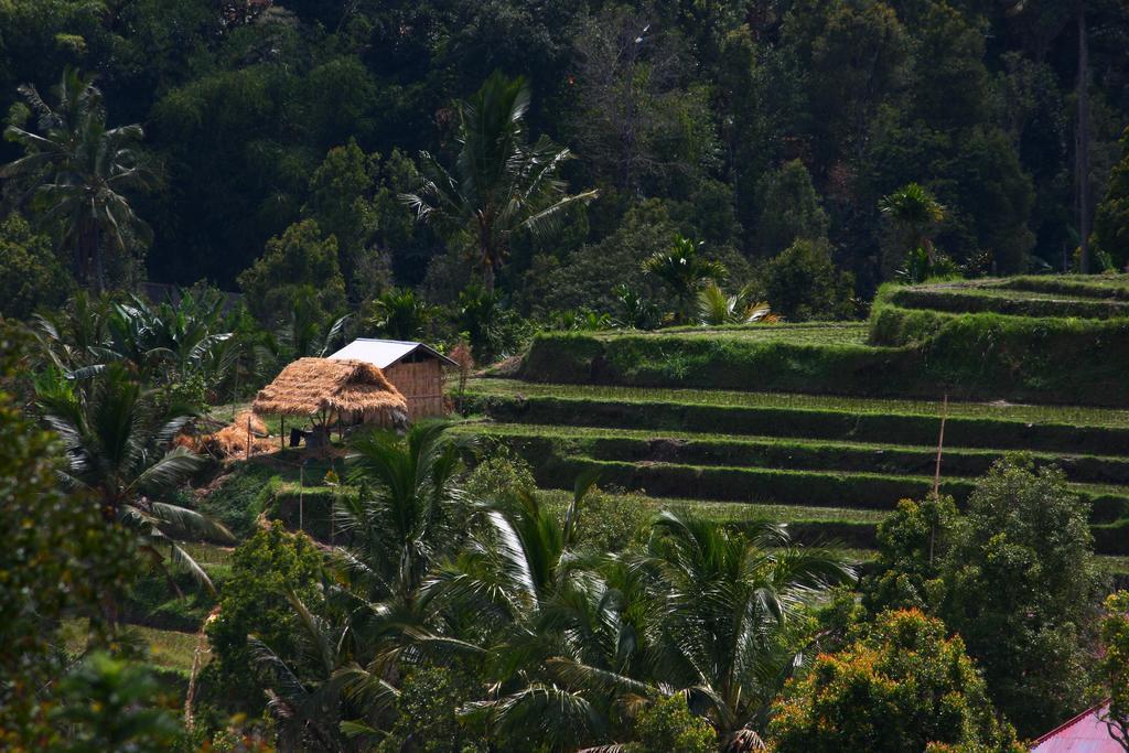 Melanting Cottages Munduk  Luaran gambar